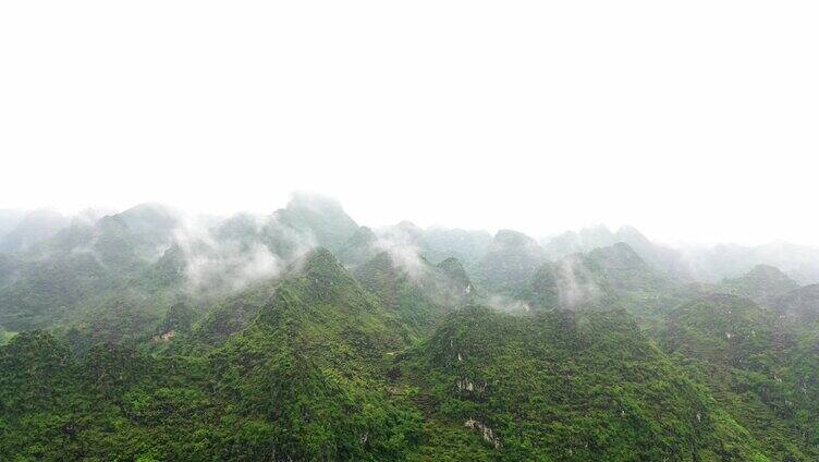 广西十万大山