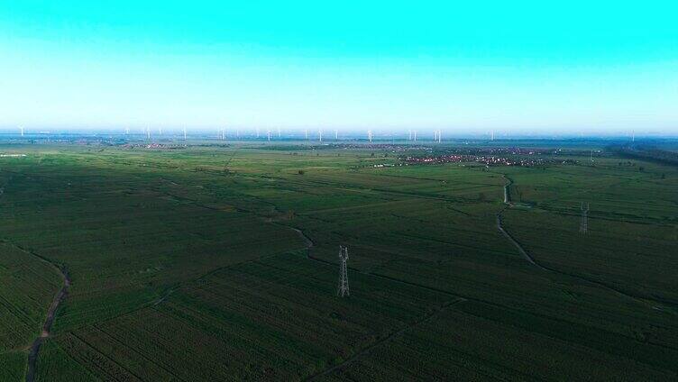 华北平原玉米地电线杆线路风车清晨蓝天