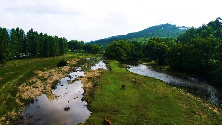 新县大山村庄