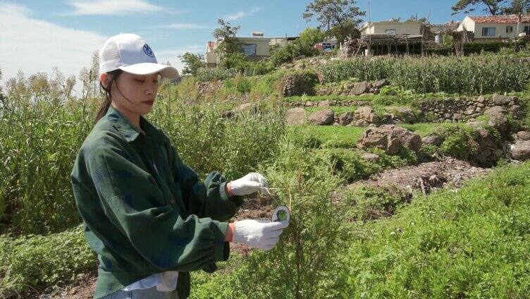 种树植树收获菜园