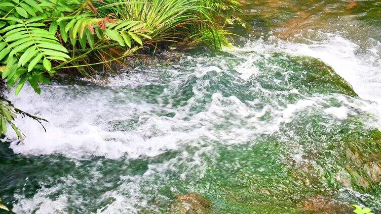 合集大自然天然山泉泉水流水小溪溪流