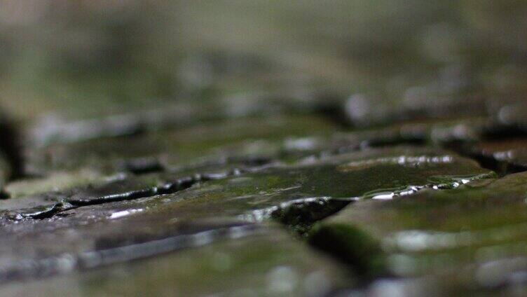 青石砖 苔藓 细雨