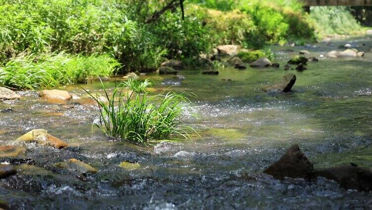 山涧溪河流水