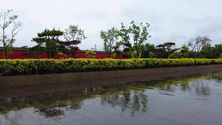 【合集】城市降雨风景 花草树木 景观小品