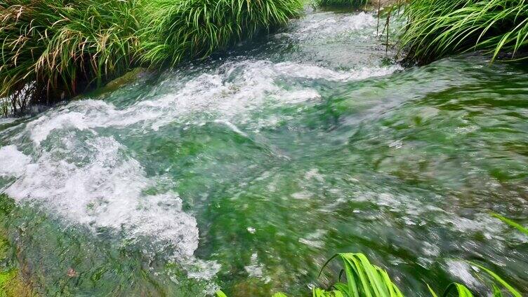 合集大自然天然山泉泉水流水小溪溪流