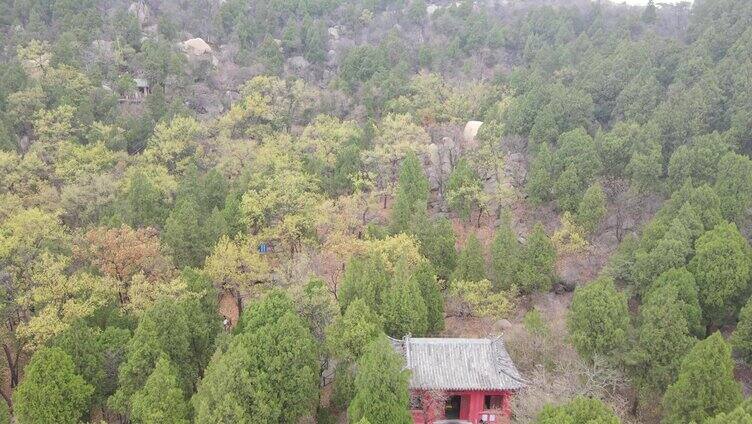 山东邹城 盘龙柱 盘龙广场 停车场 盘龙