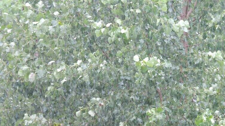 雨 下雨 雨天 雨季 大雨 小雨 雨滴 