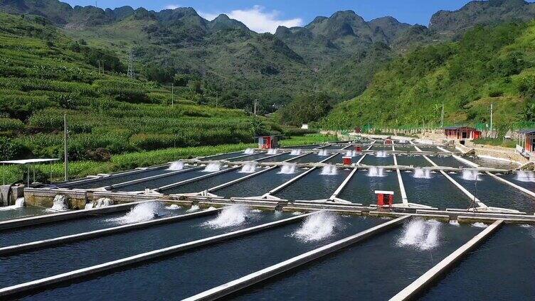 大山里淡水鱼生态水产养殖养鱼基地渔业航拍