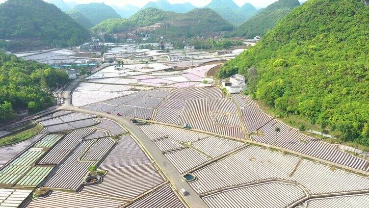 山区农业生产覆地膜春天农业农事田间劳作