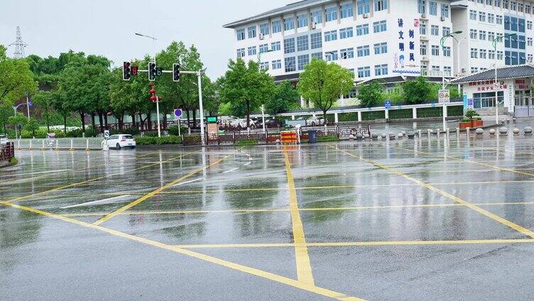 合集夏天夏季植物树叶上面的雨滴下雨雨季水