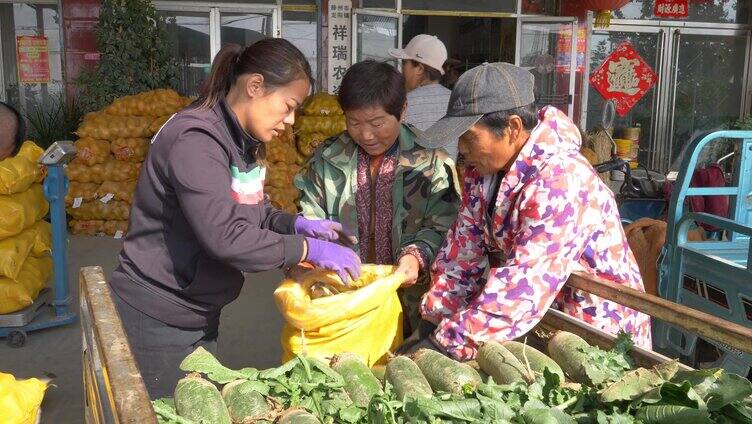 萝卜 绿萝卜 水果萝卜 蔬菜 水果 种植