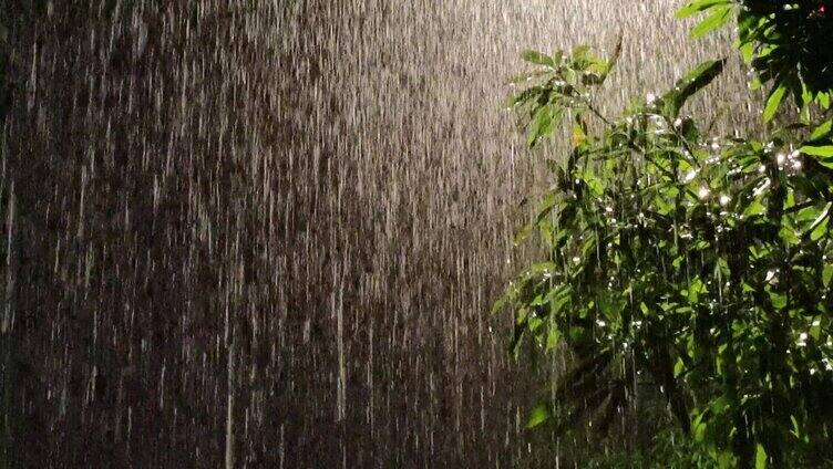 逆光雨点 雨夜街灯 雨夜光影绿叶 深夜雨