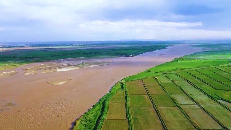 黄河 黄河奔流 母亲河