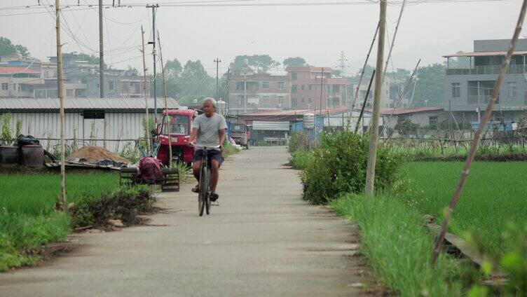 清晨男子骑自行车在乡村小路上