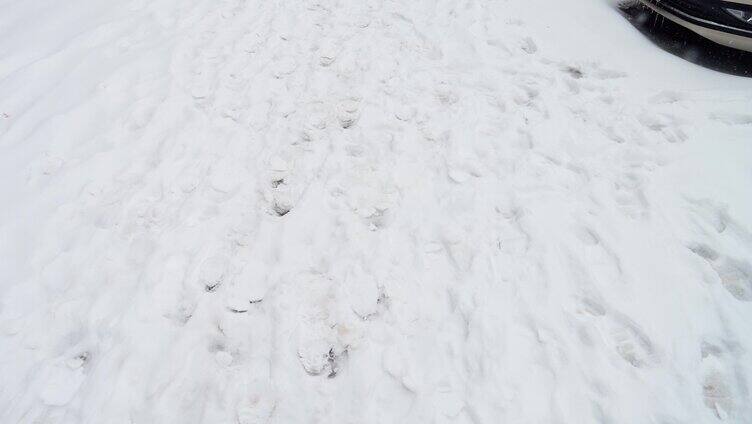 雪地 脚步 脚印 雪中行走 雪地行走 