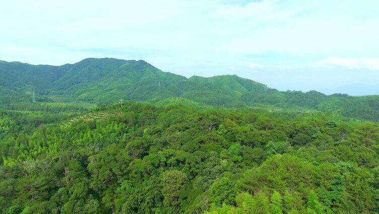 群山 绿树 航拍 2