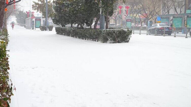 下雪 下雪的街道 雪中行驶的汽车 汽车 