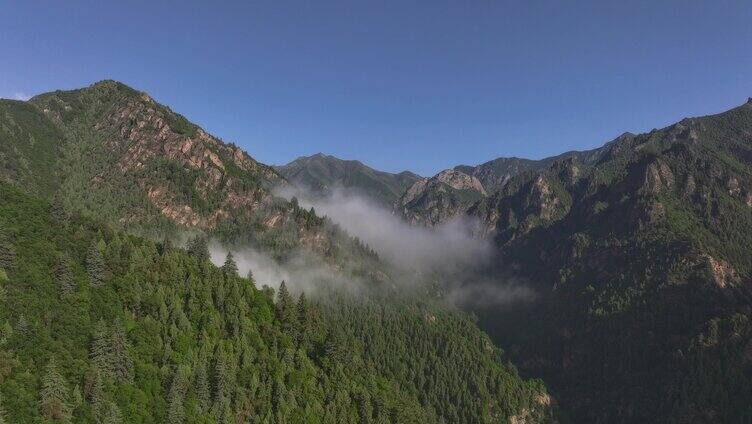 航拍 门源 农田 自然 山脉 农村 天空