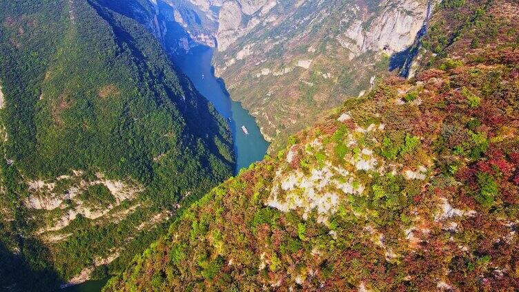 长江三峡红叶