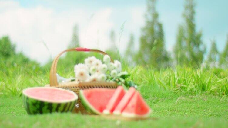 夏日 蓝天白云 雏菊 西瓜 草地 小清新