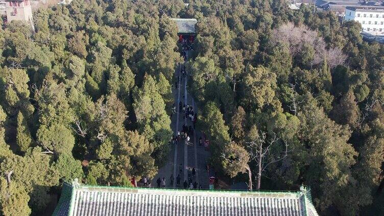 孔庙 祭孔大典 航拍古建筑 三孔 城墙 