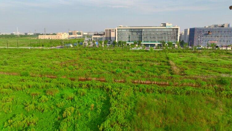 化工区绿地 写字楼 航拍