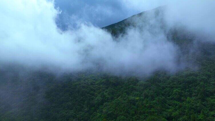 浙江 天目山 宁国 延时航拍2