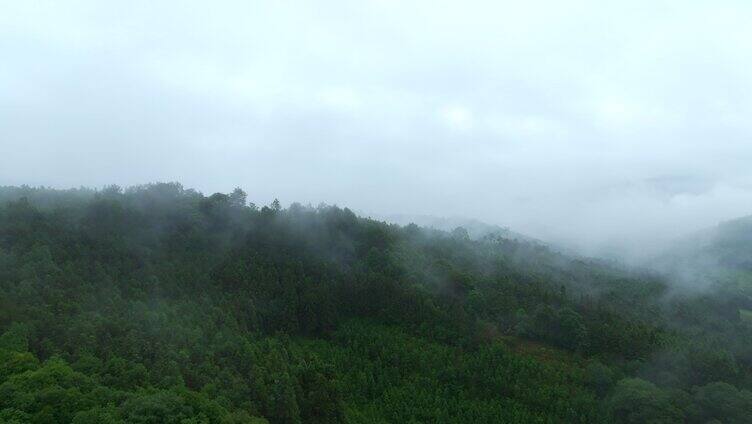 丰乐服务区 青山 航拍 2