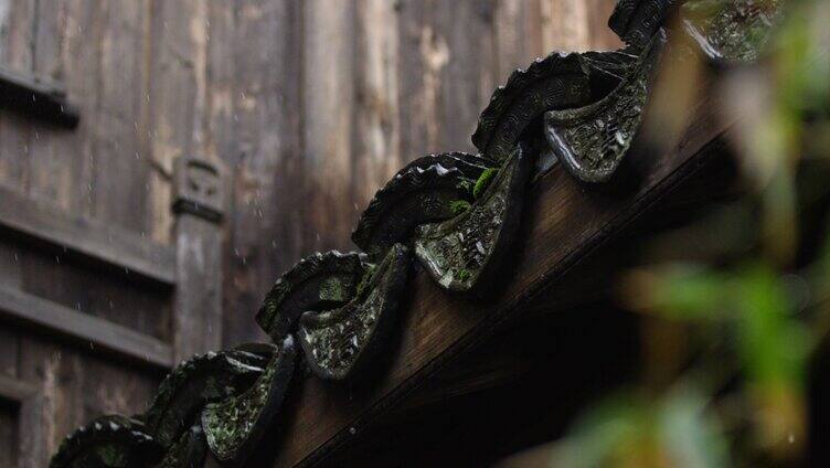 瓦当 细雨 绿叶  