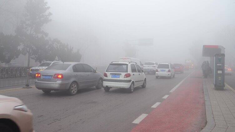 雾 大雾 雾霾 大雾开车 大雾延误 雾气