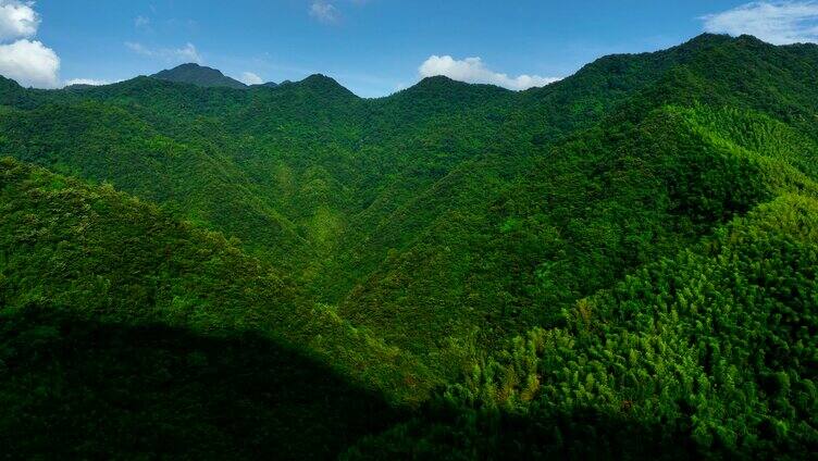 浙江 天目山 宁国 航拍5