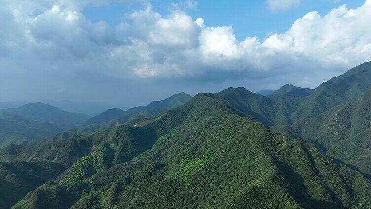 原始森林 群山 延时航拍