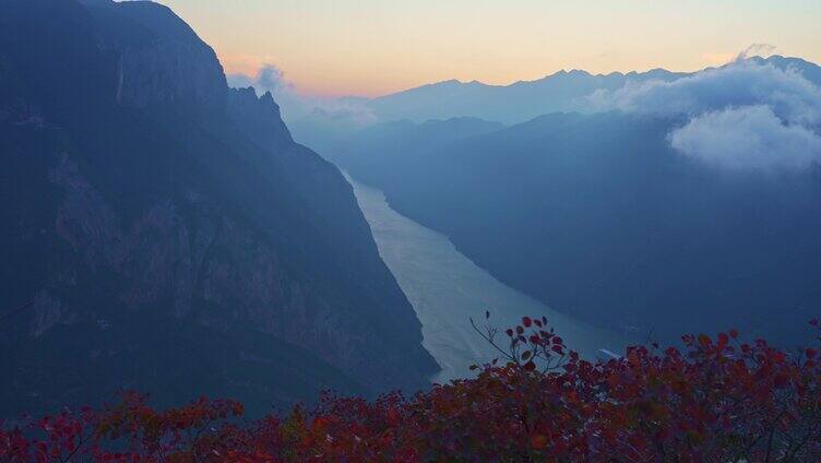 长江三峡红叶