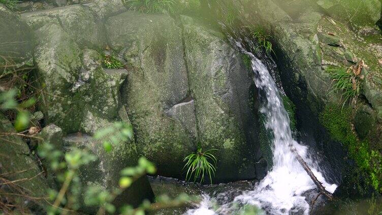 大自然 山野 小溪 苔藓 12