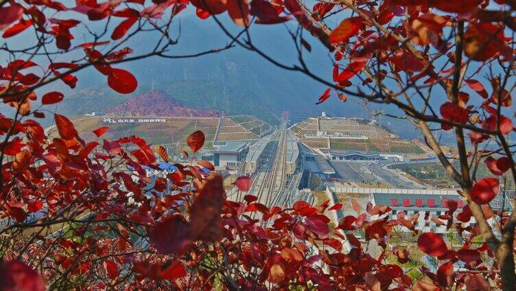 三峡红叶云海