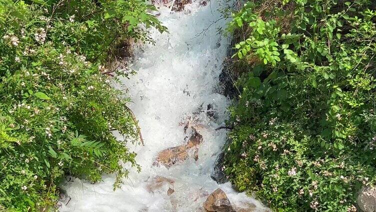 高山流水 流水 河流 小河溪流 景区 风