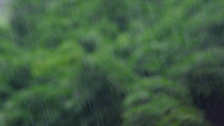 夏天雨季暴雨来临下大雨窗外雨景