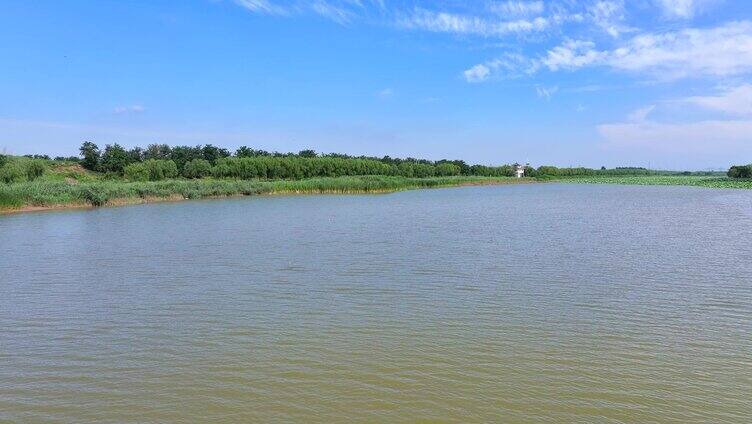 【4K】湿地公园水土流失保护滩涂生态宣传