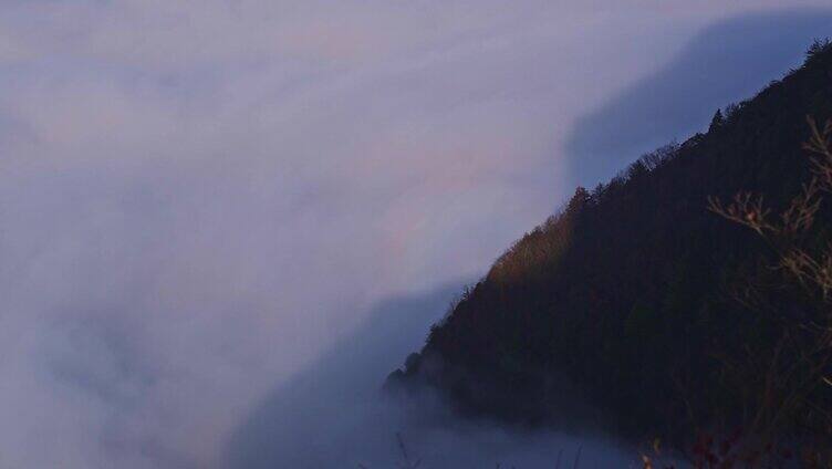 三峡红叶云海