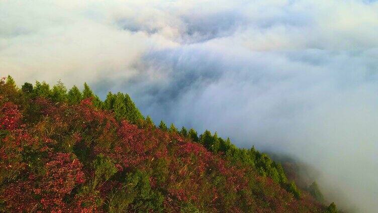 长江三峡红叶云海