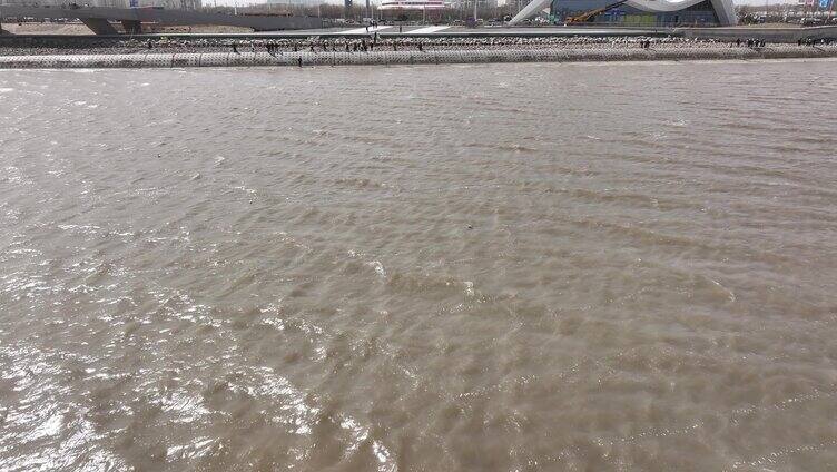 天津城市 河水