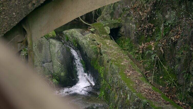 大自然 山野 小溪 苔藓 11