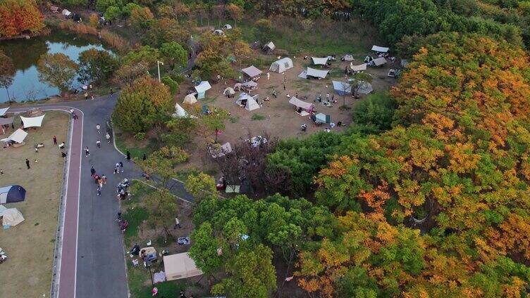 上海宝山罗泾水源涵养林露营地