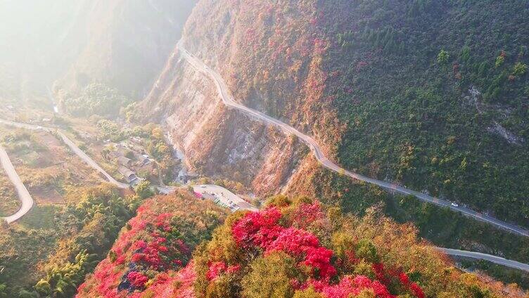 航拍 曲折乡村公路 红叶