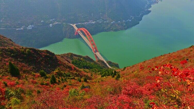 长江三峡巫峡峡口红叶延时