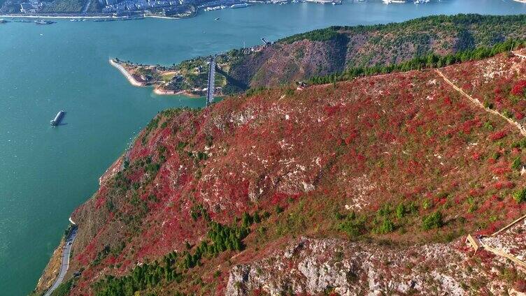 航拍文峰景区红叶