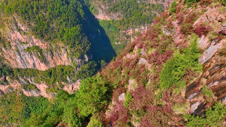 航拍小三峡红叶