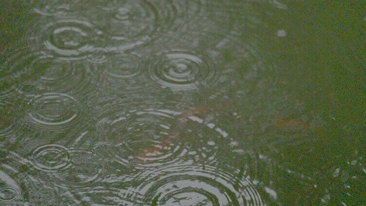 唯美古建筑下雨合集