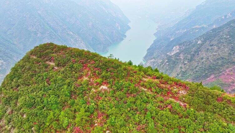 航拍长江三峡云海日出红叶