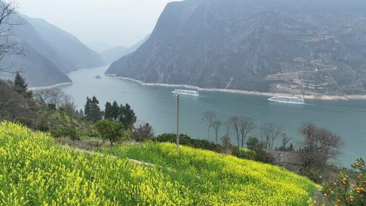 游轮过三峡花海